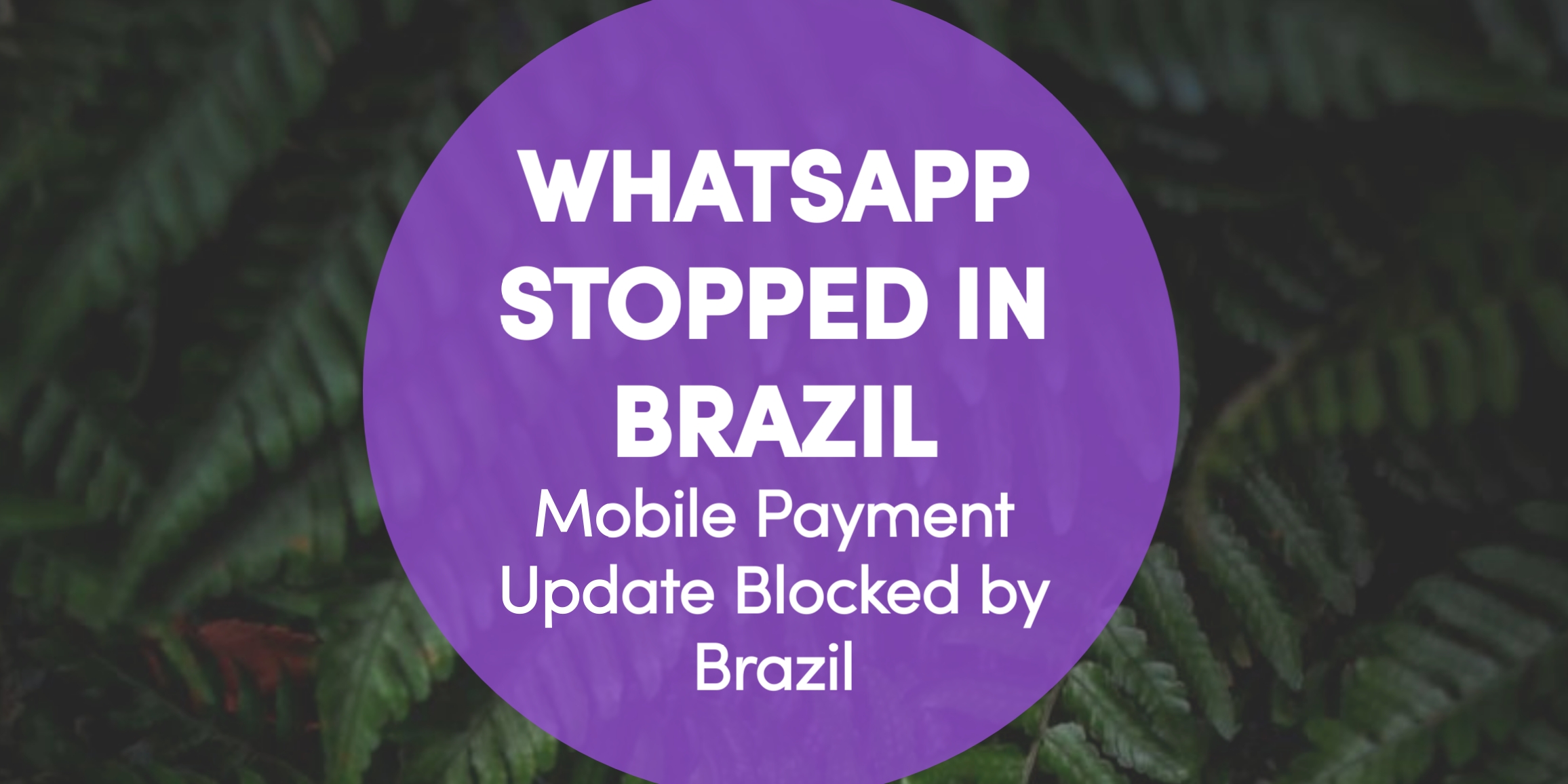 How many brazilians use whatsapp?